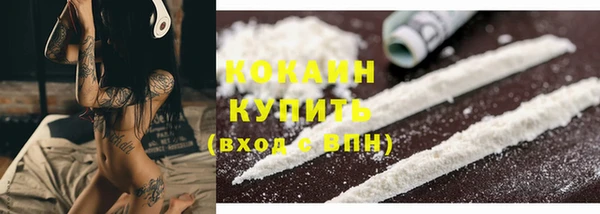 крисы Саяногорск