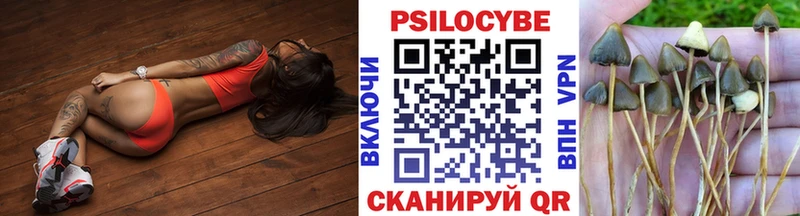 Псилоцибиновые грибы Psilocybine cubensis  Боровичи 